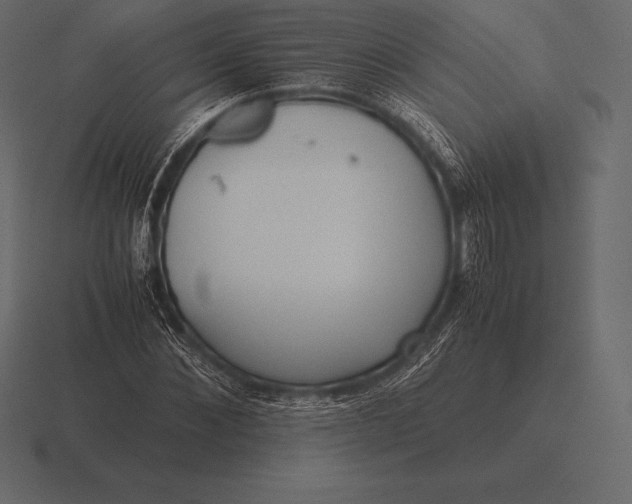 X0000116560876200912241613