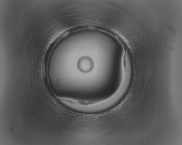 X0000116560877200912241613