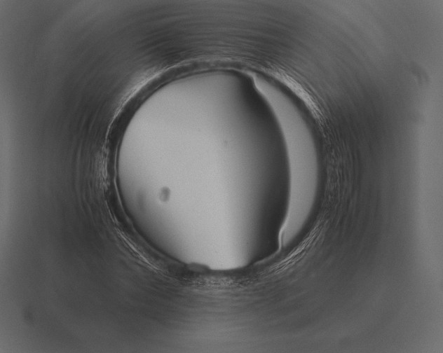 X0000116560878200912241613