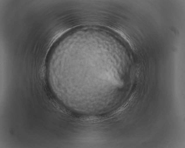 X0000116560879200912241613