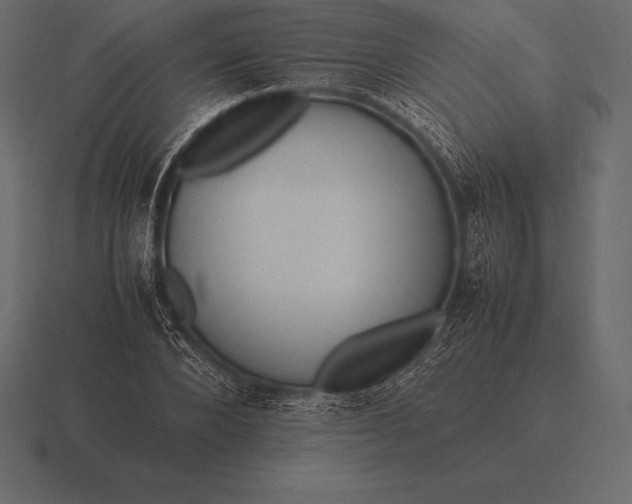 X0000116560880200912241613