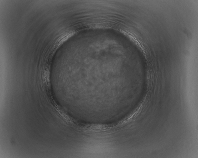 X0000116560881200912241613