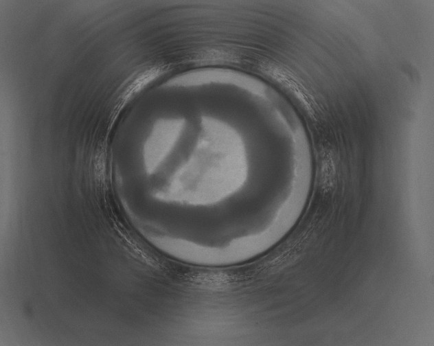 X0000116560882200912241612