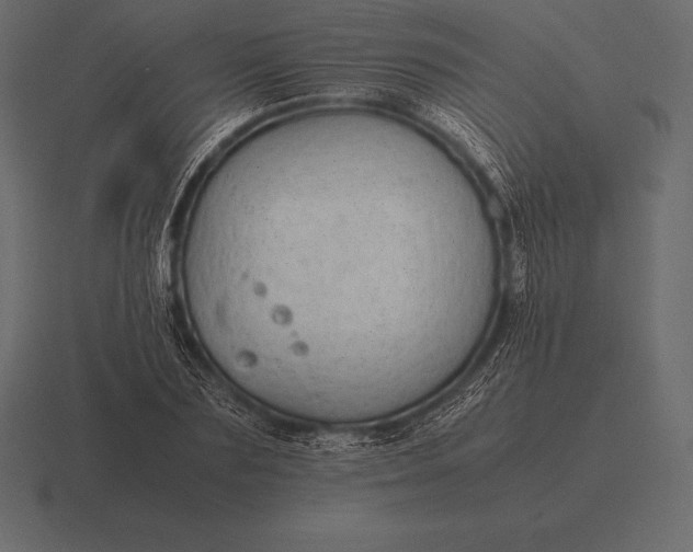 X0000116560883200912241612