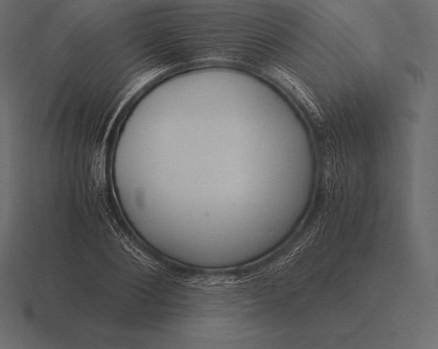 X0000116560884200912241612