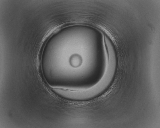 X0000116560885200912241612