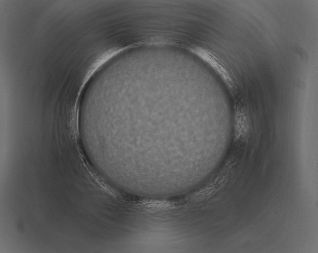 X0000116560886200912241612