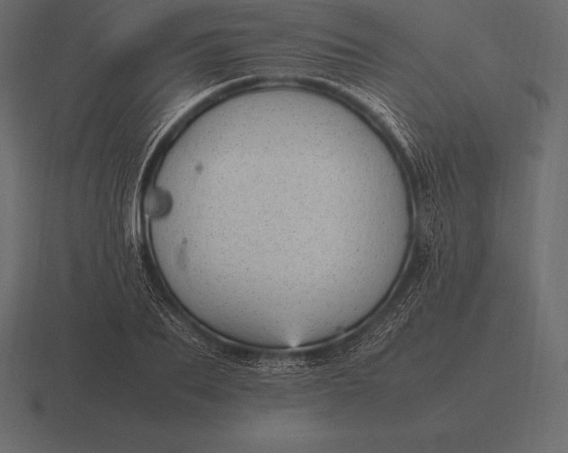 X0000116560887200912241612