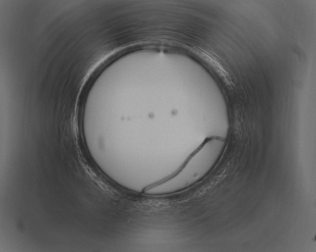 X0000116560888200912241612