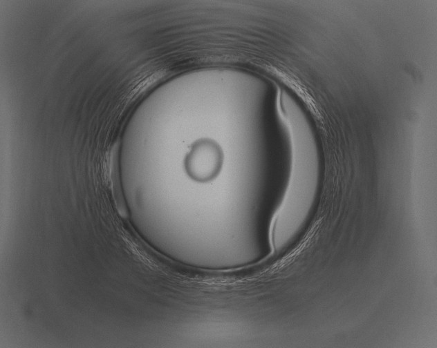 X0000116560889200912241612