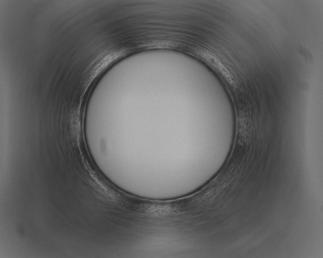 X0000116560890200912241612