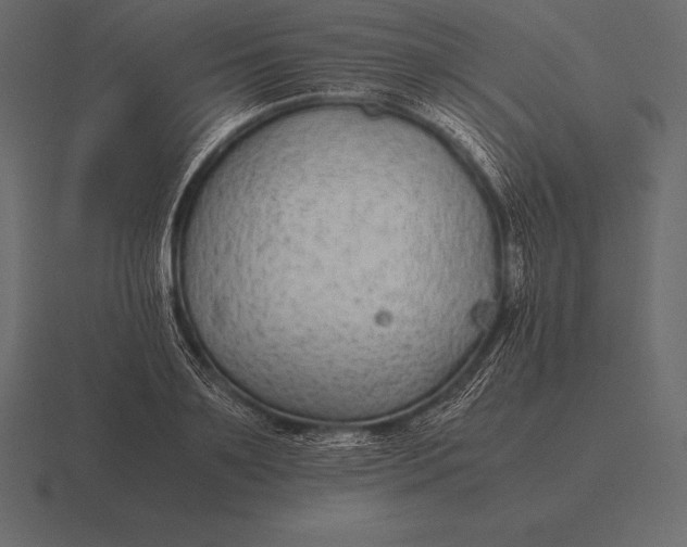 X0000116560891200912241612