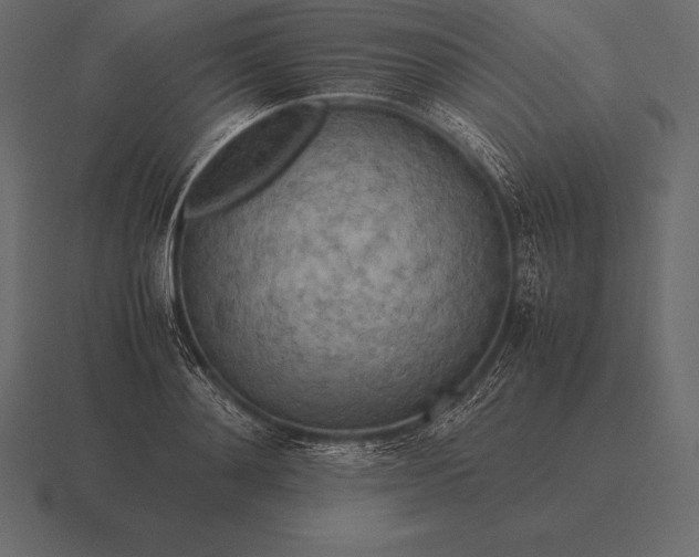 X0000116560892200912241612