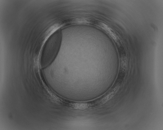 X0000116560893200912241612