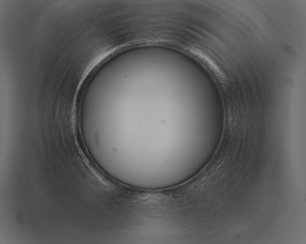 X0000116560894200912241612