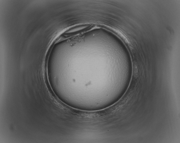 X0000116560895200912241612