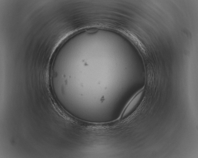 X0000116560896200912241612