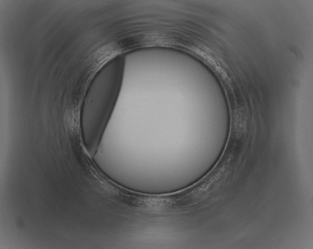 X0000116560897200912241612