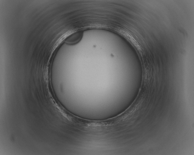 X0000116560898200912241612