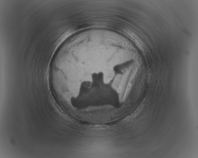 X0000116560899200912241612