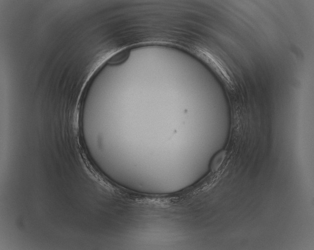 X0000116560900200912241612