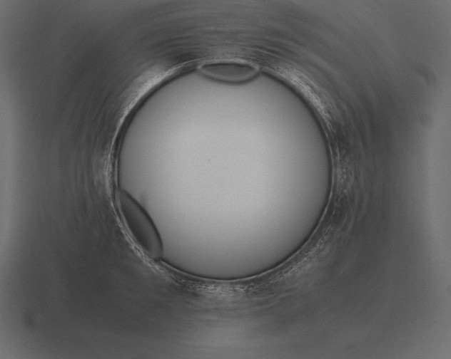 X0000116560901200912241612