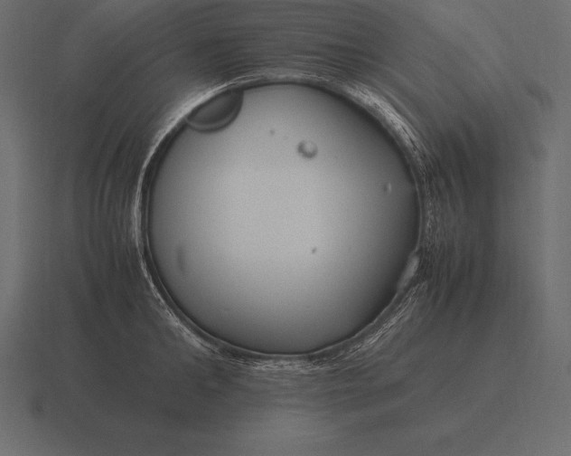 X0000116560902200912241612