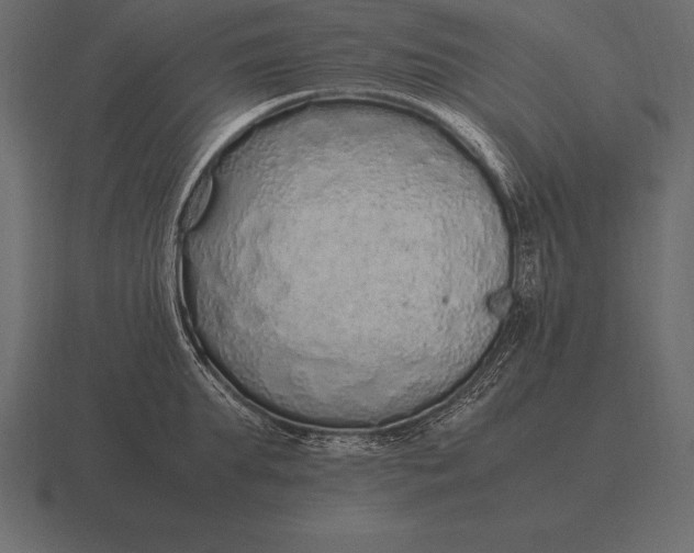 X0000116560903200912241612