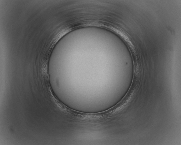 X0000116560905200912241612