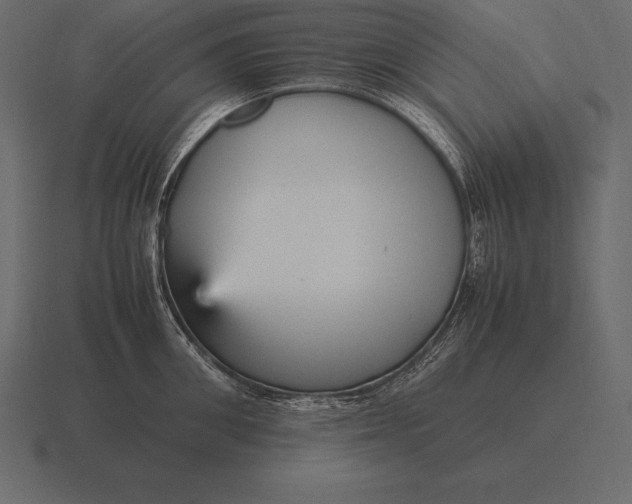 X0000116560906200912241612