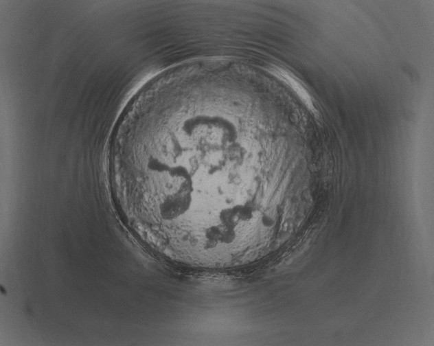 X0000116560907200912241612