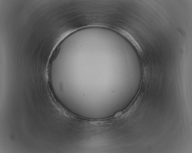 X0000116560908200912241612