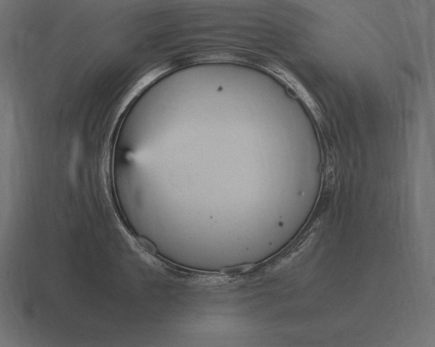 X0000116560909200912241612