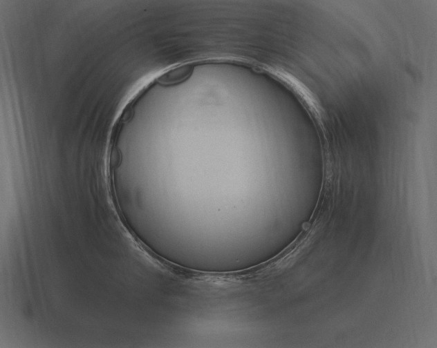 X0000116560910200912241612