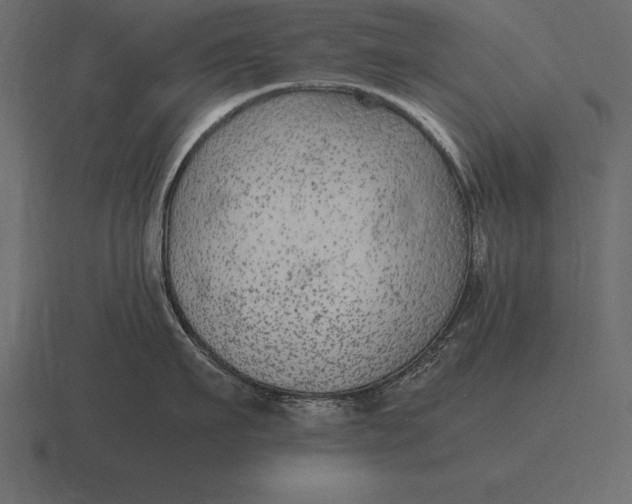 X0000116560911200912241612