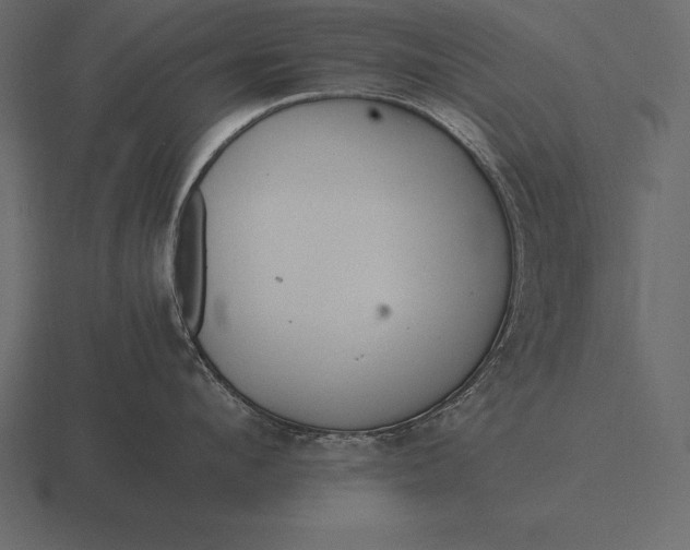 X0000116560912200912241612