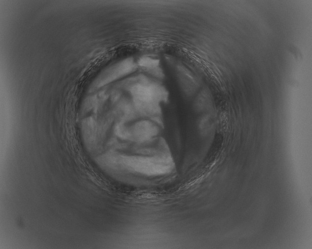 X0000116560913200912241612