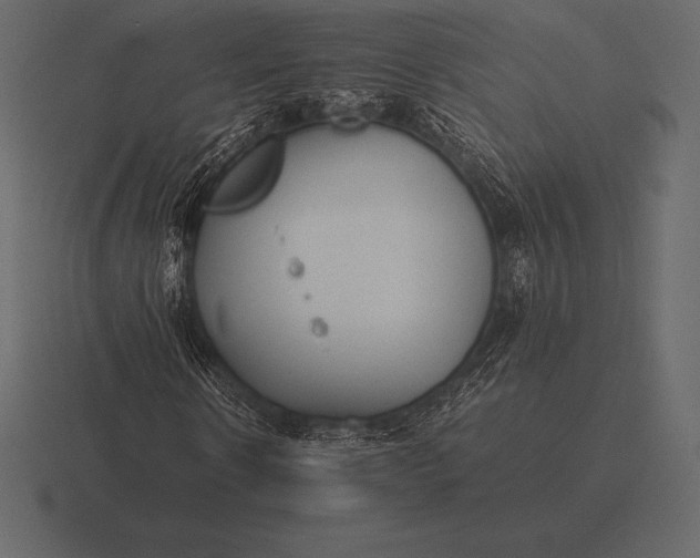 X0000116560914200912241612