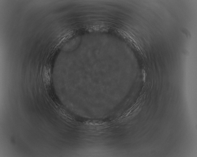 X0000116560915200912241612