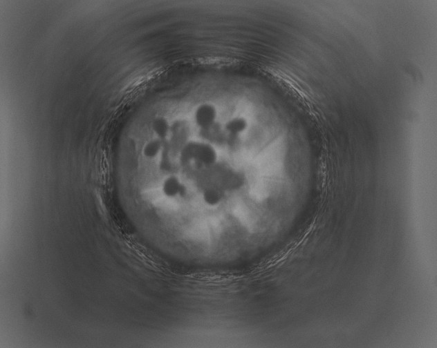 X0000116560917200912241612