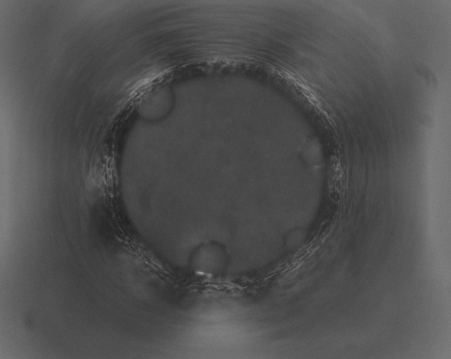 X0000116560918200912241612