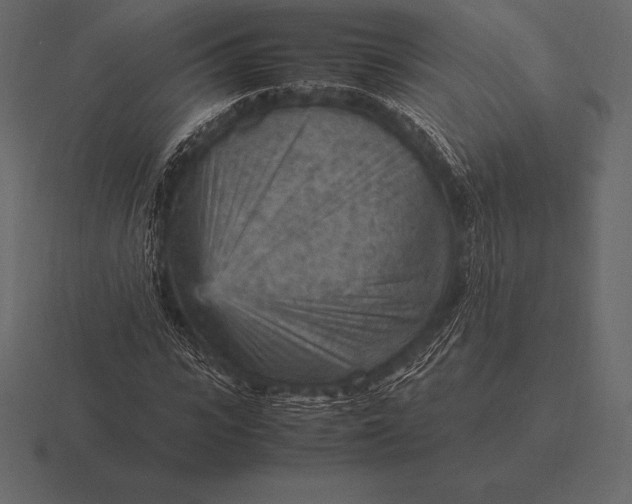 X0000116560919200912241612