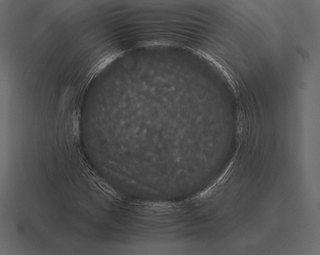 X0000116560921200912241612