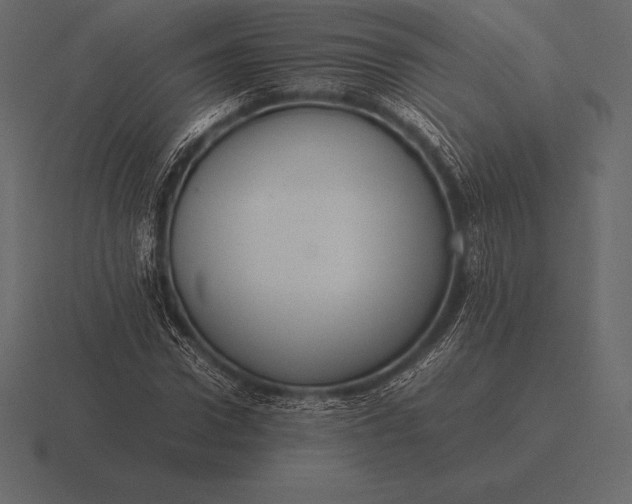 X0000116560922200912241612