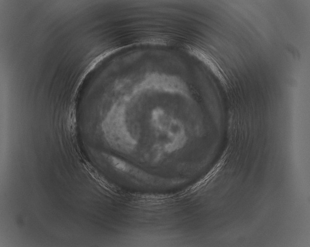 X0000116560923200912241612