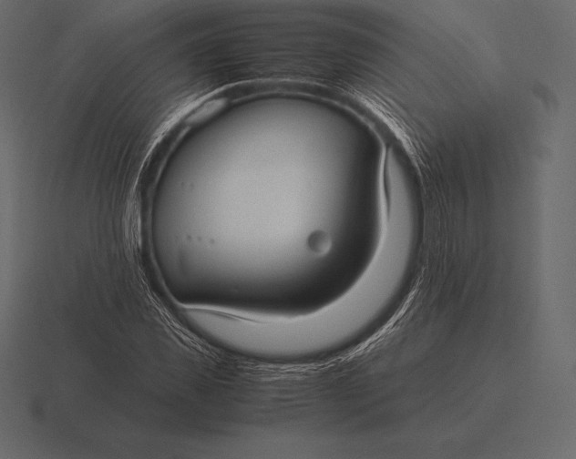 X0000116560925200912241612