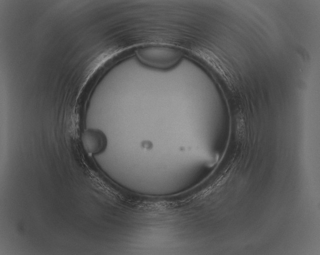 X0000116560926200912241612