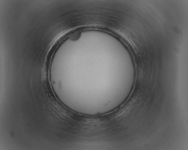 X0000116560927200912241612