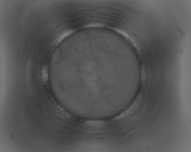 X0000116560929200912241612