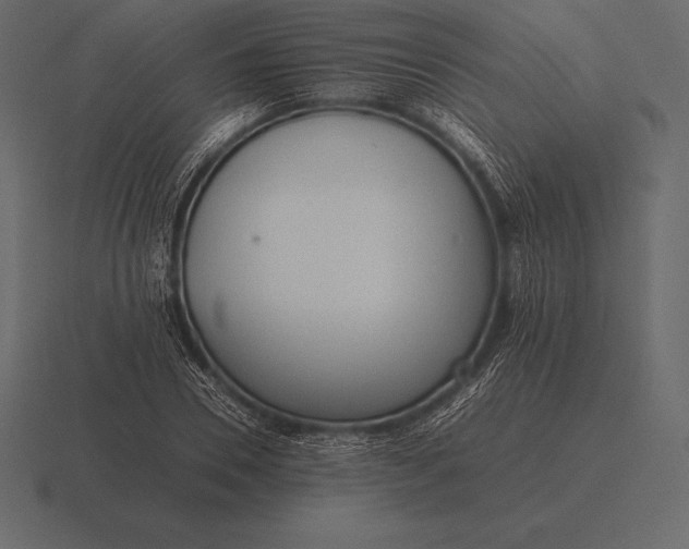 X0000116560930200912241612